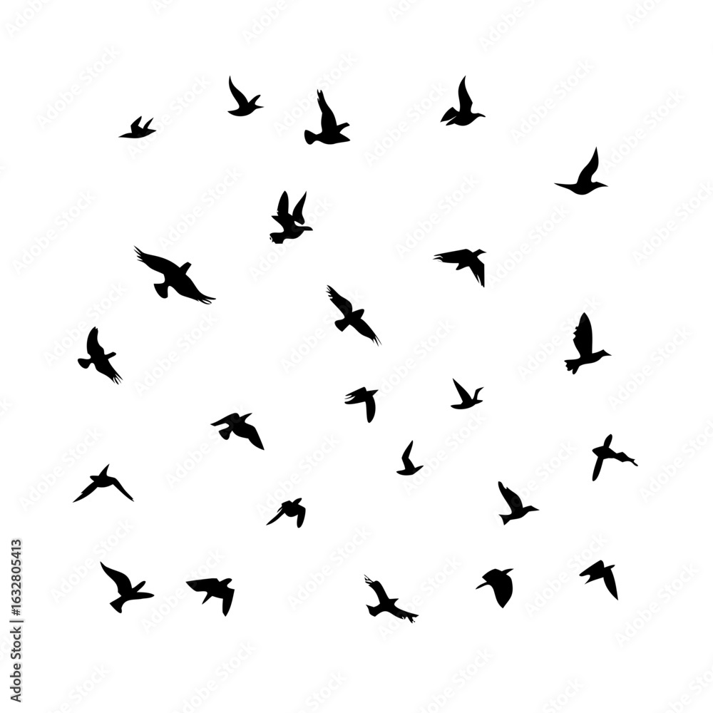 Naklejka premium 25 Birds: Nature's Colorful Avian Wonders