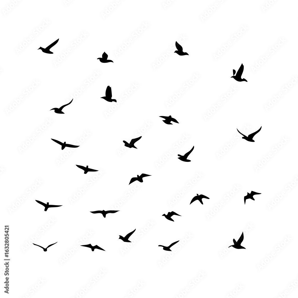 25 Birds: Nature's Colorful Avian Wonders 