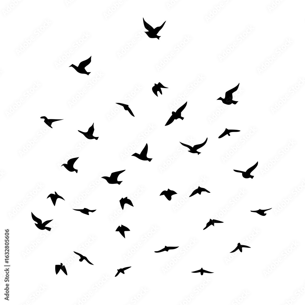 Naklejka premium 25 Birds: Nature's Colorful Avian Wonders