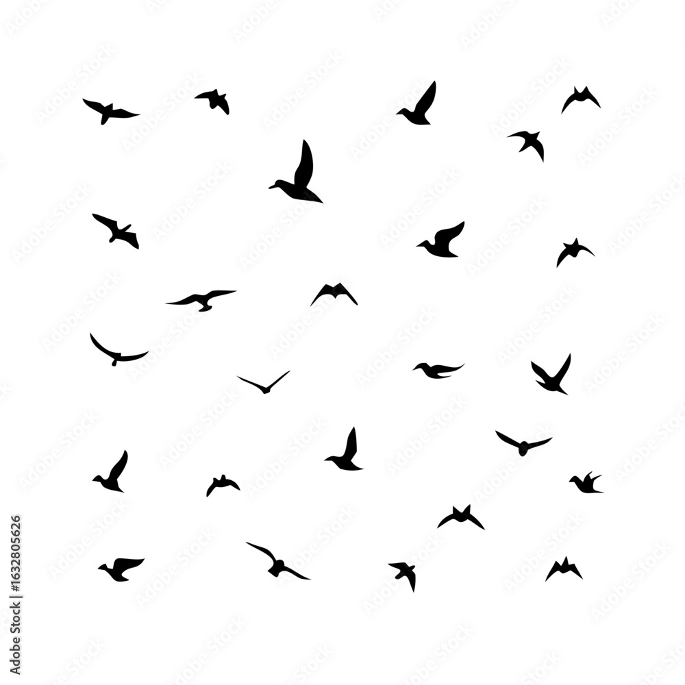 Naklejka premium 25 Birds: Nature's Colorful Avian Wonders&nbsp;