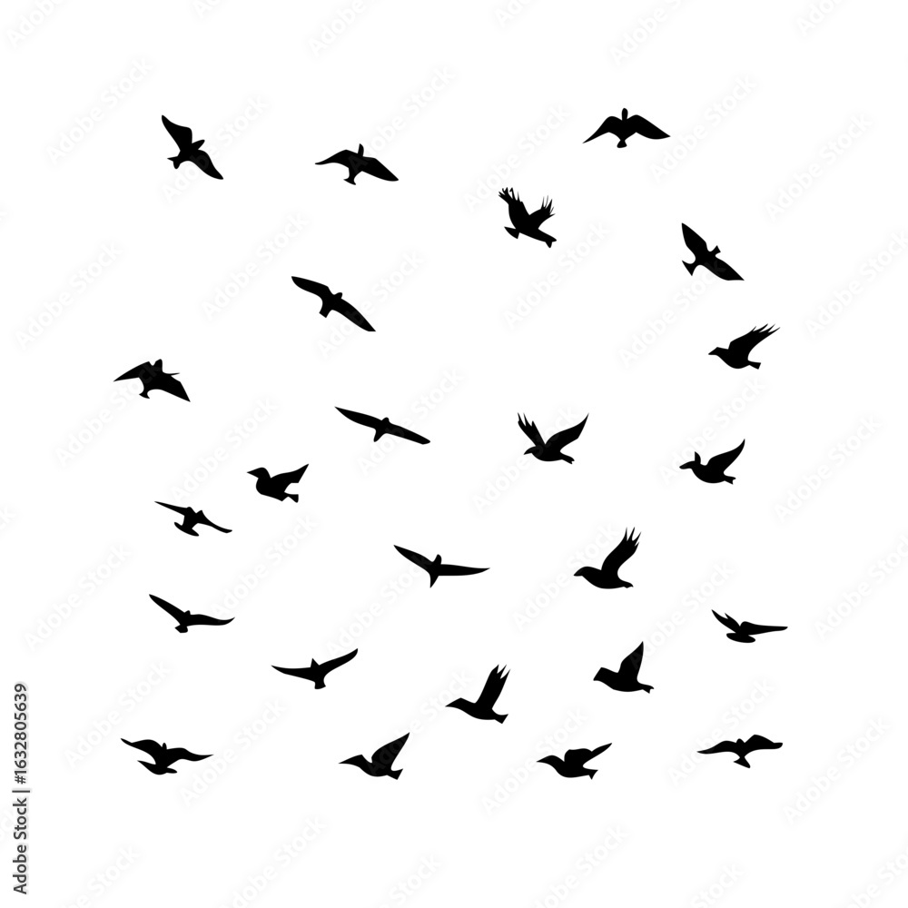 25 Birds: Nature's Colorful Avian Wonders 