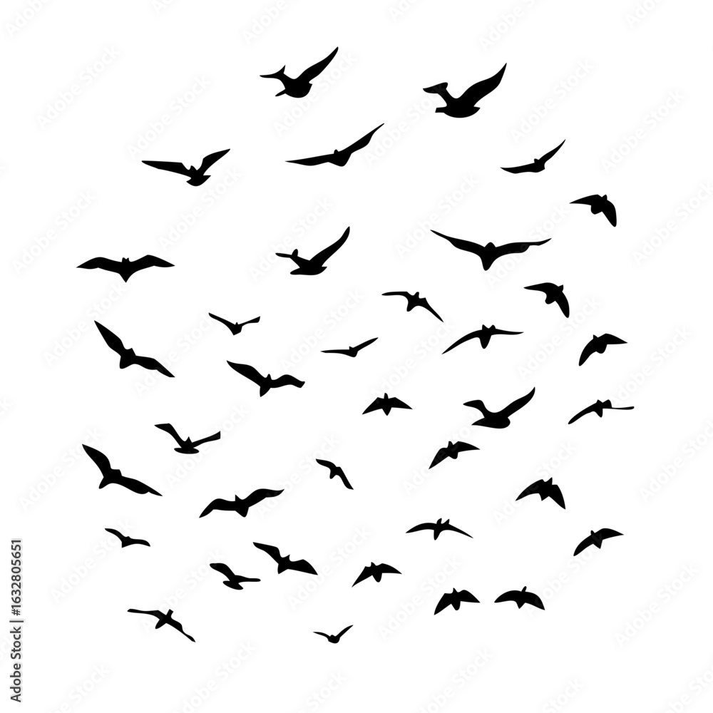 Fototapeta premium 25 Birds: Nature's Colorful Avian Wonders