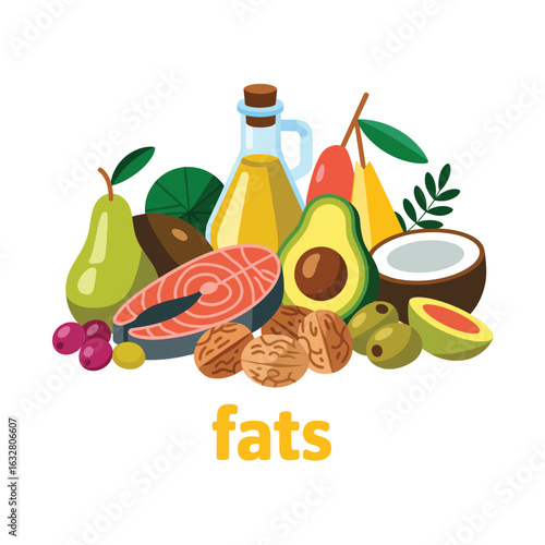Healthy fats food sources illustration featuring salmon avocado nuts and oil