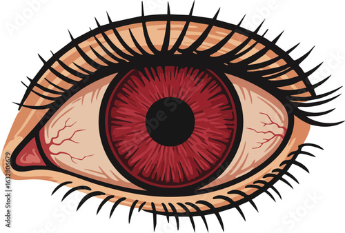 Human eye with red iris detailed illustration emphasizing anatomy and blood vessels in natural style vector 