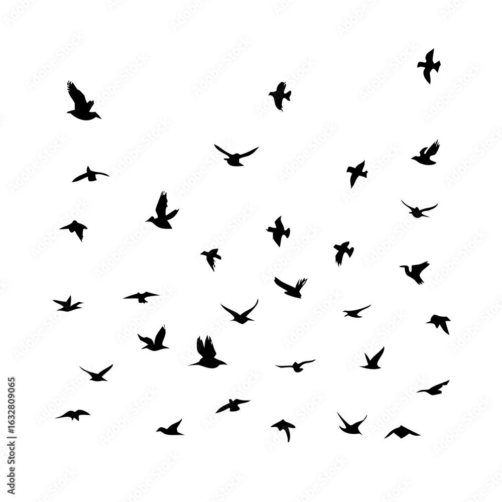 25 Birds: Nature's Colorful Avian Wonders 25 Birds: Nature's Colorful Avian Wonders