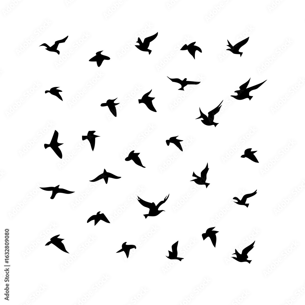 25 Birds: Nature's Colorful Avian Wonders 