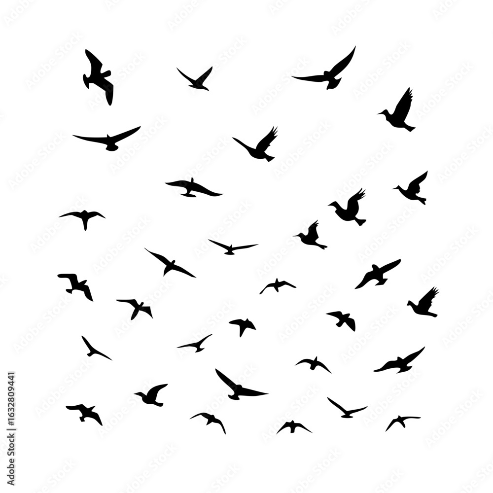 25 Birds: Nature's Colorful Avian Wonders 25 Birds: Nature's Colorful Avian Wonders