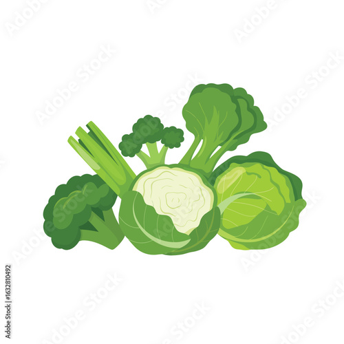 Fresh green broccoli cauliflower and cabbage vegetables isolated on white background