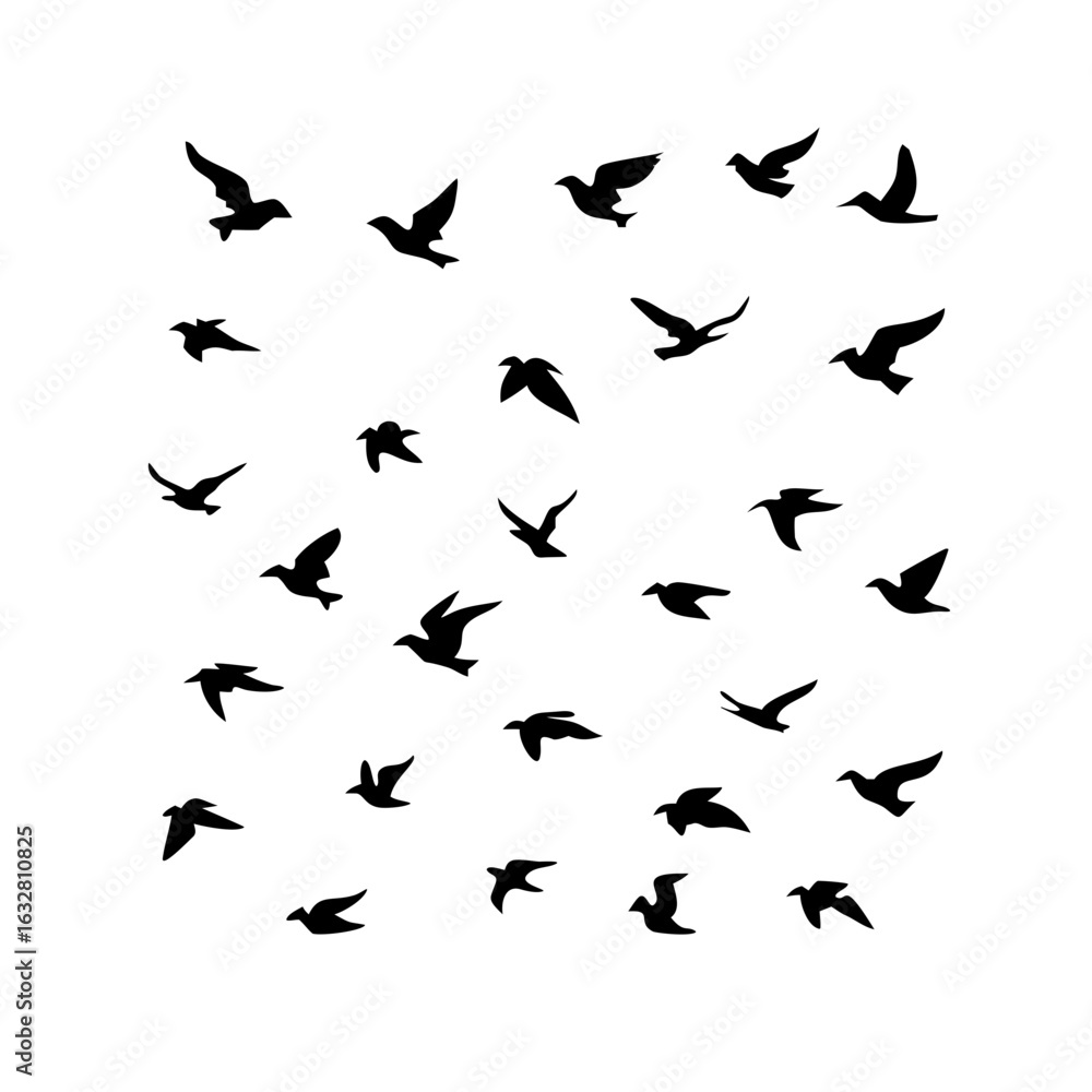 25 Birds: Nature's Colorful Avian Wonders 25 Birds: Nature's Colorful Avian Wonders