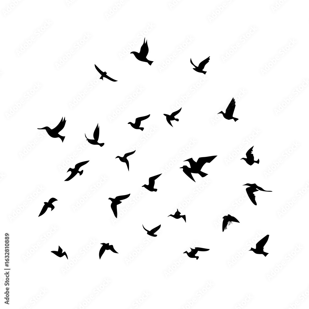 25 Birds: Nature's Colorful Avian Wonders 25 Birds: Nature's Colorful Avian Wonders
