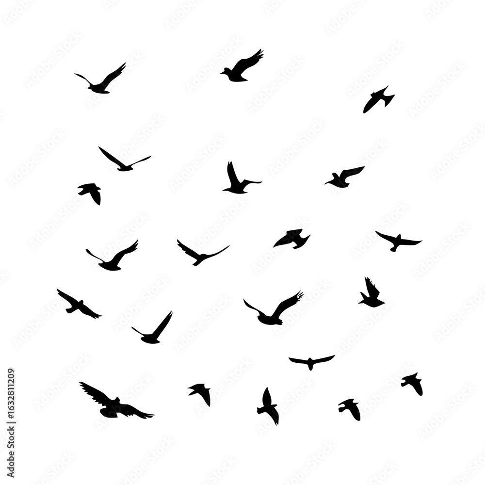 25 Birds: Nature's Colorful Avian Wonders 