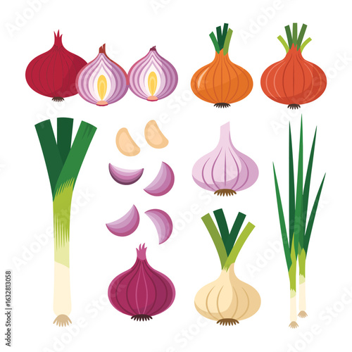 Collection of fresh alliums including onions garlic and leeks