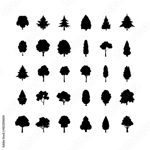 25 Trees: Nature’s Majestic Guardians