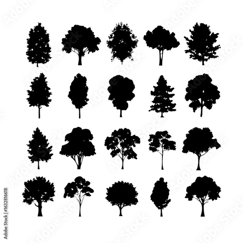 25 Trees: Nature’s Majestic Guardians