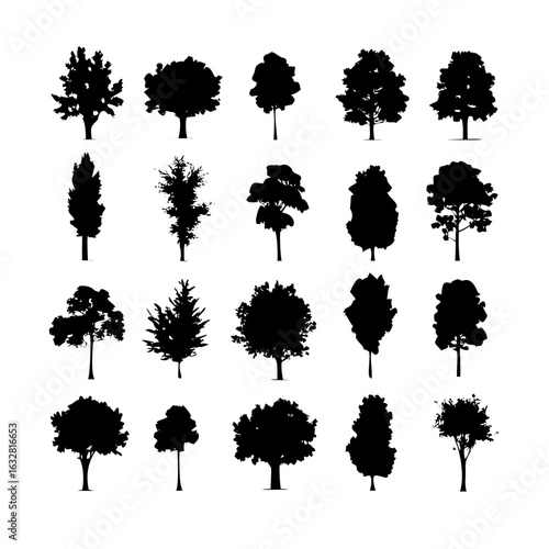 25 Trees: Nature’s Majestic Guardians