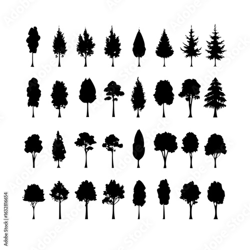 25 Trees: Nature’s Majestic Guardians
