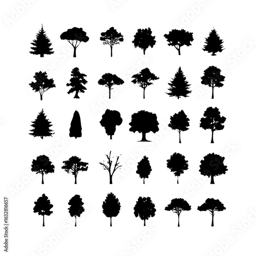 25 Trees: Nature’s Majestic Guardians