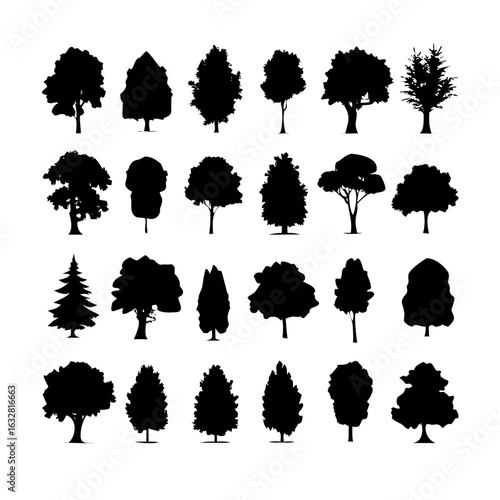 25 Trees: Nature’s Majestic Guardians