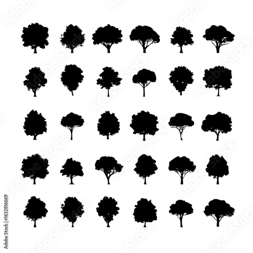 25 Trees: Nature’s Majestic Guardians