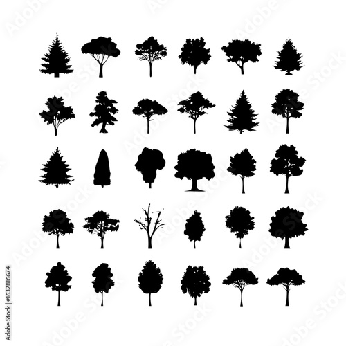 25 Trees: Nature’s Majestic Guardians