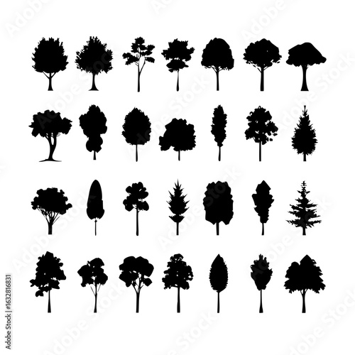 25 Trees: Nature’s Majestic Guardians