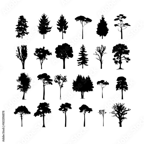 25 Trees: Nature’s Majestic Guardians