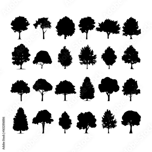 25 Trees: Nature’s Majestic Guardians