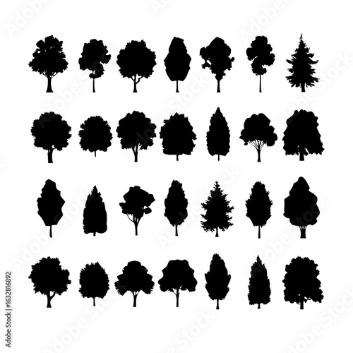 25 Trees: Nature’s Majestic Guardians