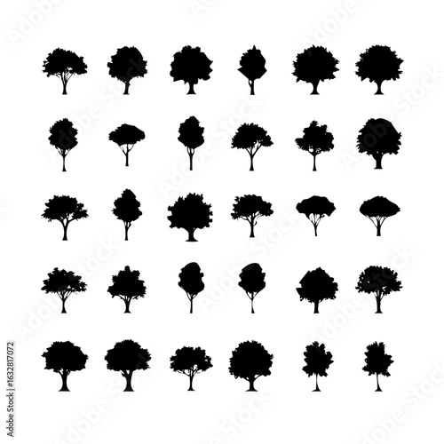 25 Trees: Nature’s Majestic Guardians