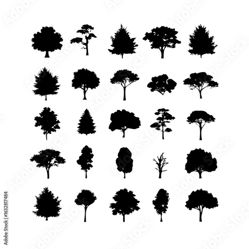 25 Trees: Nature’s Majestic Guardians