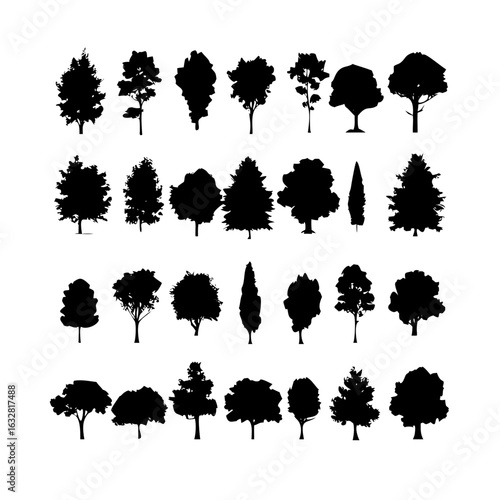 25 Trees: Nature’s Majestic Guardians