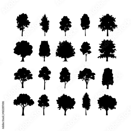 25 Trees: Nature’s Majestic Guardians