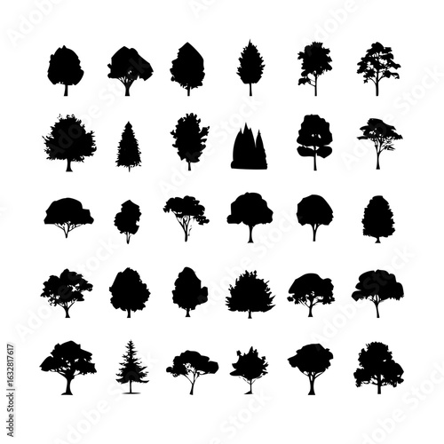 25 Trees: Nature’s Majestic Guardians