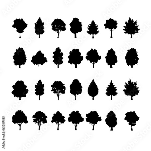 25 Trees: Nature’s Majestic Guardians