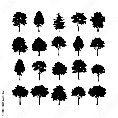 25 Trees: Nature’s Majestic Guardians