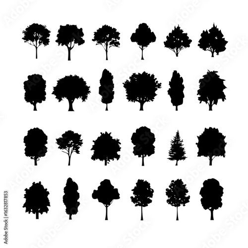 25 Trees: Nature’s Majestic Guardians