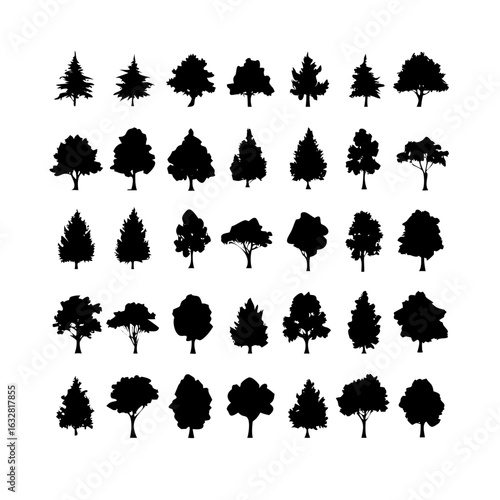 25 Trees: Nature’s Majestic Guardians