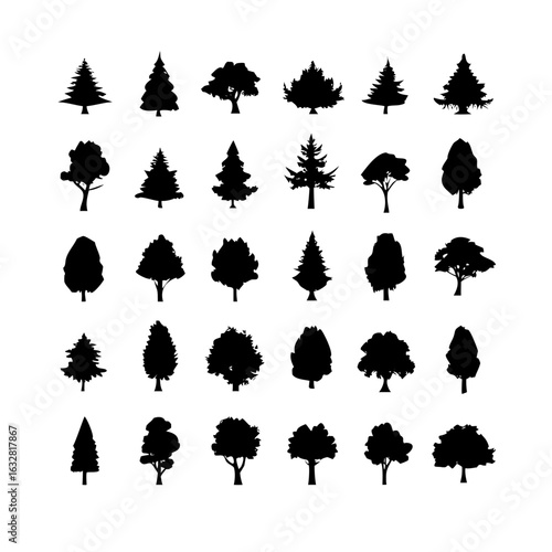 25 Trees: Nature’s Majestic Guardians