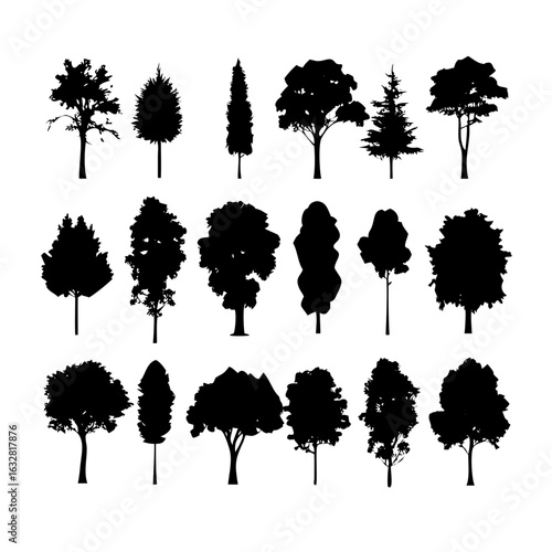 25 Trees: Nature’s Majestic Guardians