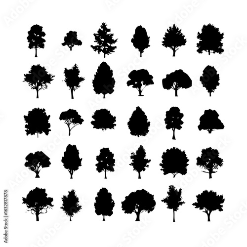 25 Trees: Nature’s Majestic Guardians