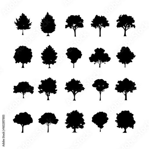 25 Trees: Nature’s Majestic Guardians
