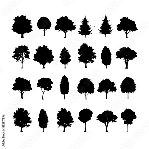 25 Trees: Nature’s Majestic Guardians