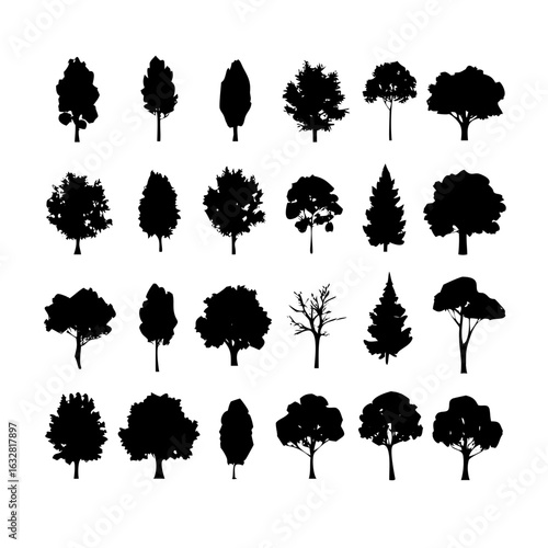 25 Trees: Nature’s Majestic Guardians