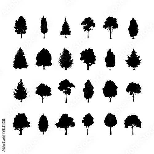 25 Trees: Nature’s Majestic Guardians