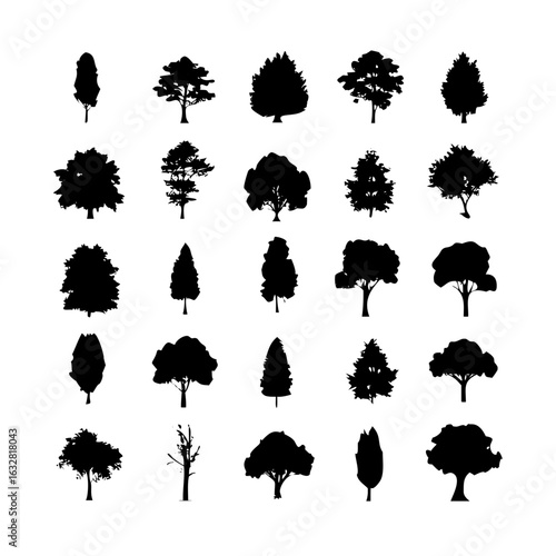 25 Trees: Nature’s Majestic Guardians