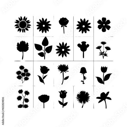 25 Flowers: Nature’s Colorful Blooms