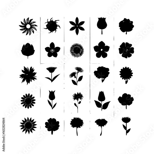 25 Flowers: Nature’s Colorful Blooms
