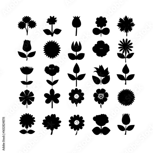 25 Flowers: Nature’s Colorful Blooms
