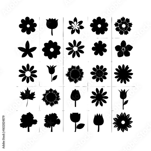 25 Flowers: Nature’s Colorful Blooms