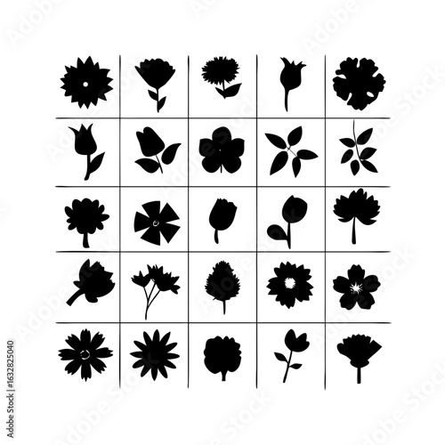 25 Flowers: Nature’s Colorful Blooms